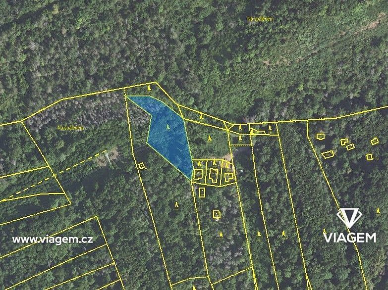 Lesy, Loděnice, okres Beroun - 2