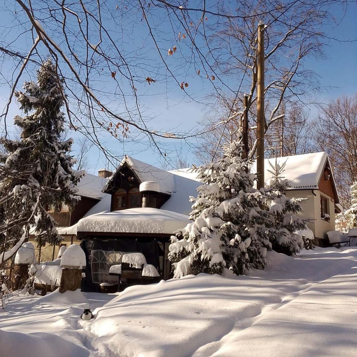 Chaty, Bystřice nad Olší, Moravskoslezský kraj - 1