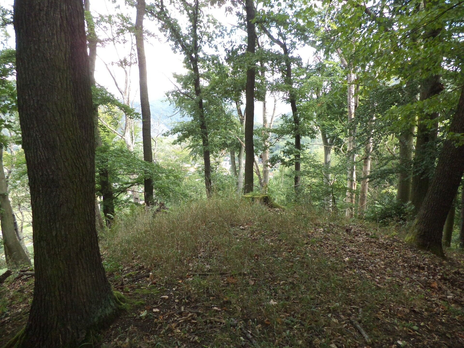 Zemědělský pozemek · 14 517 m² · Malé Březno - 4