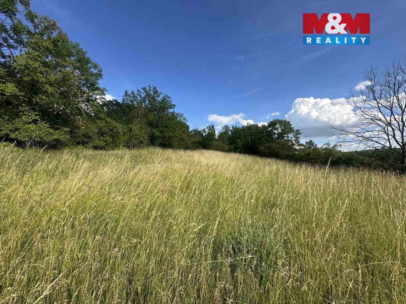 Zahrada · Bechlín - Předonín, okres Litoměřice, Ústecký kraj - 3