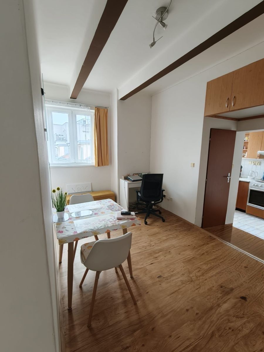 1+1, V Horkách, Praha - Nusle, 40 m² - 2