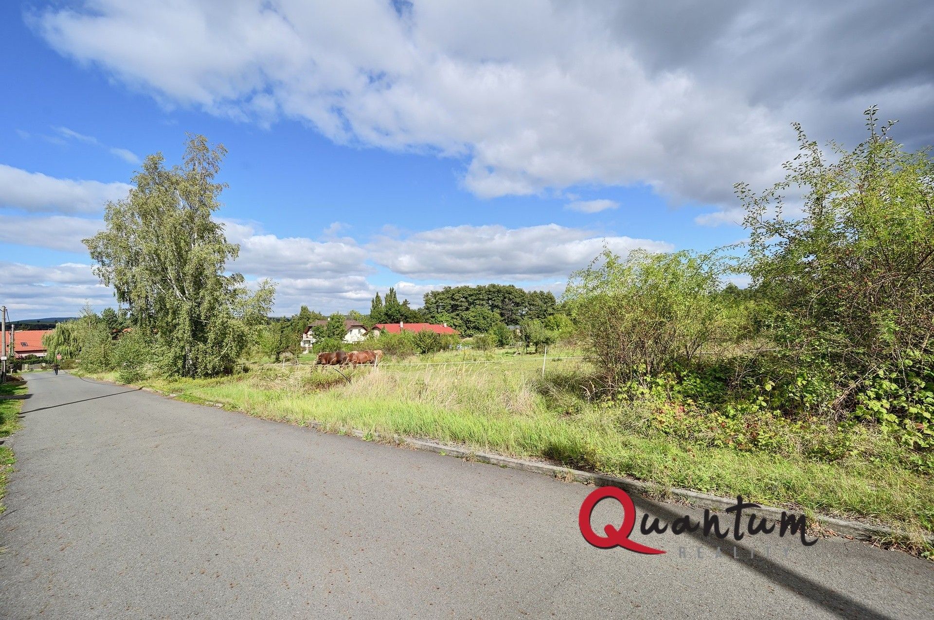 Prodej pozemek pro bydlení - Šípková, Svinaře