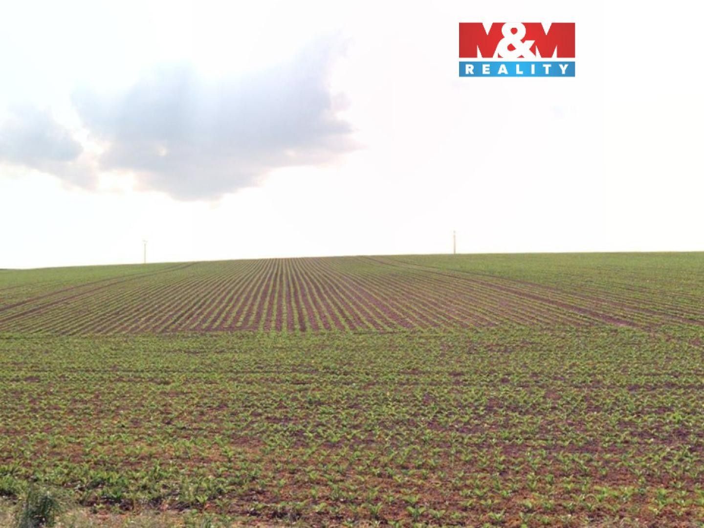 Zemědělské pozemky, Štěpánkovice