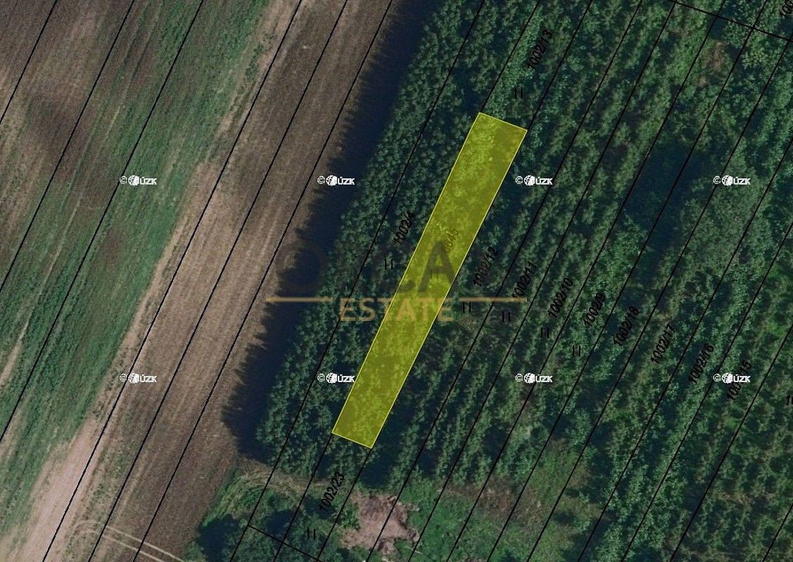 Ostatní, Kostice, okres Břeclav, Jihomoravský kraj - 1