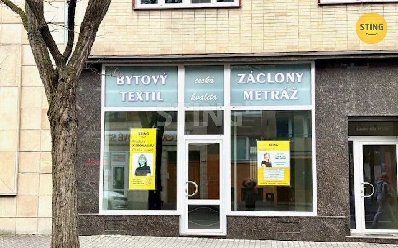 Obchodní prostory, Národní třída, Hodonín, 71 m²