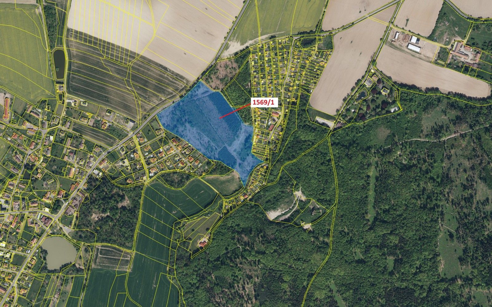Prodej les - Rabštejnská Lhota, okres Chrudim, Pardubický kraj - 2