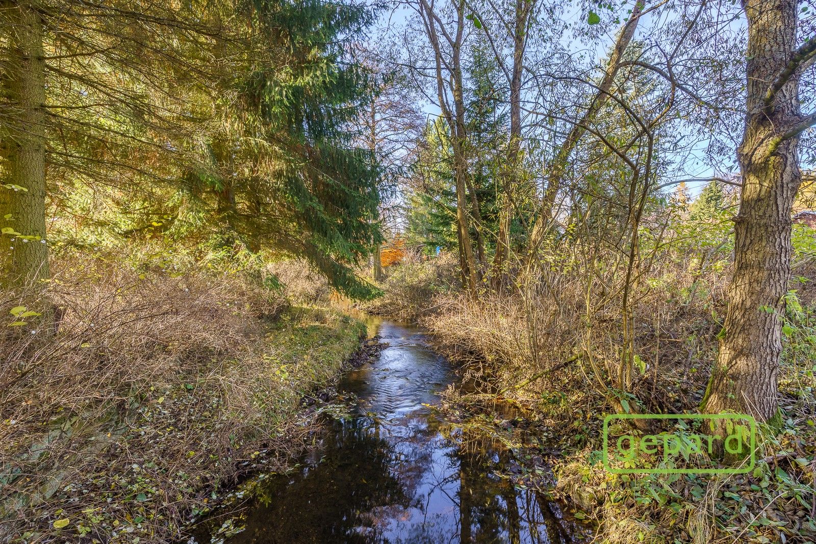 Rybník · 5 195 m² · Bochov Dlouhá Lomnice - 4