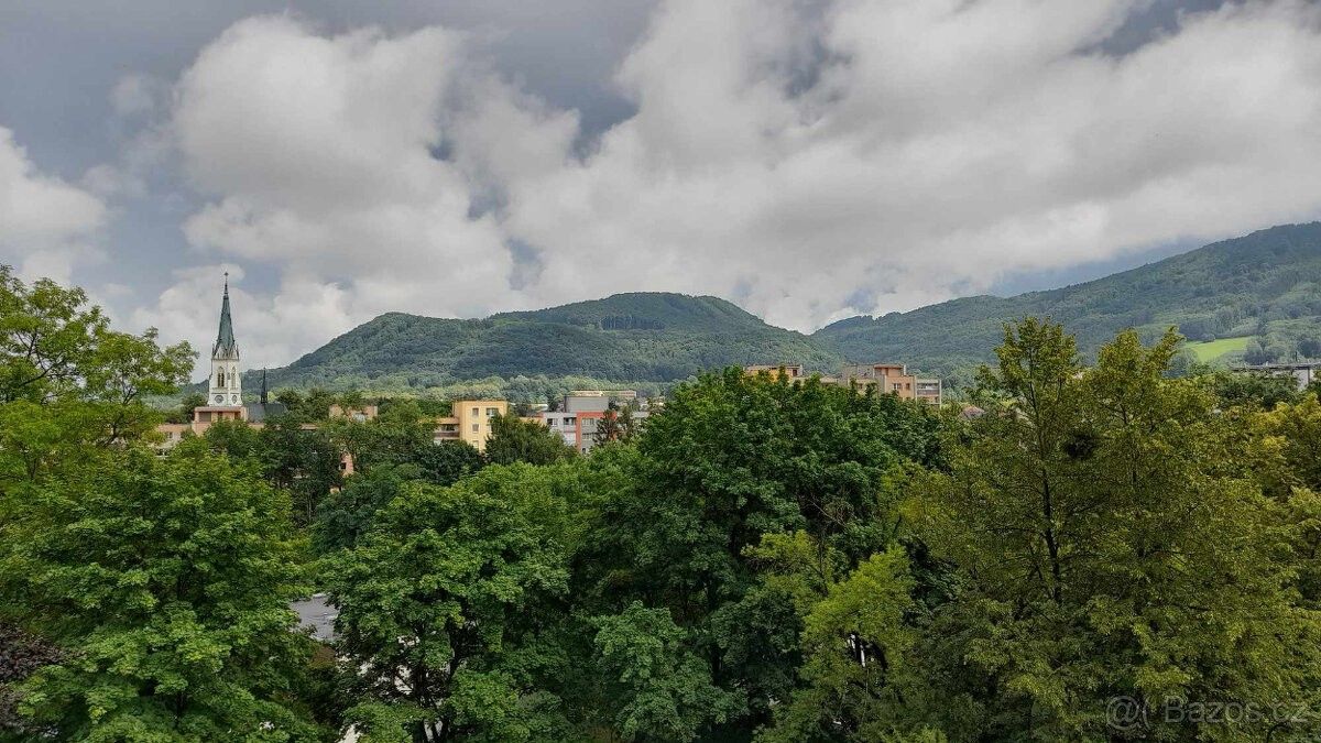 Byty, Kopřivnice, 742 21