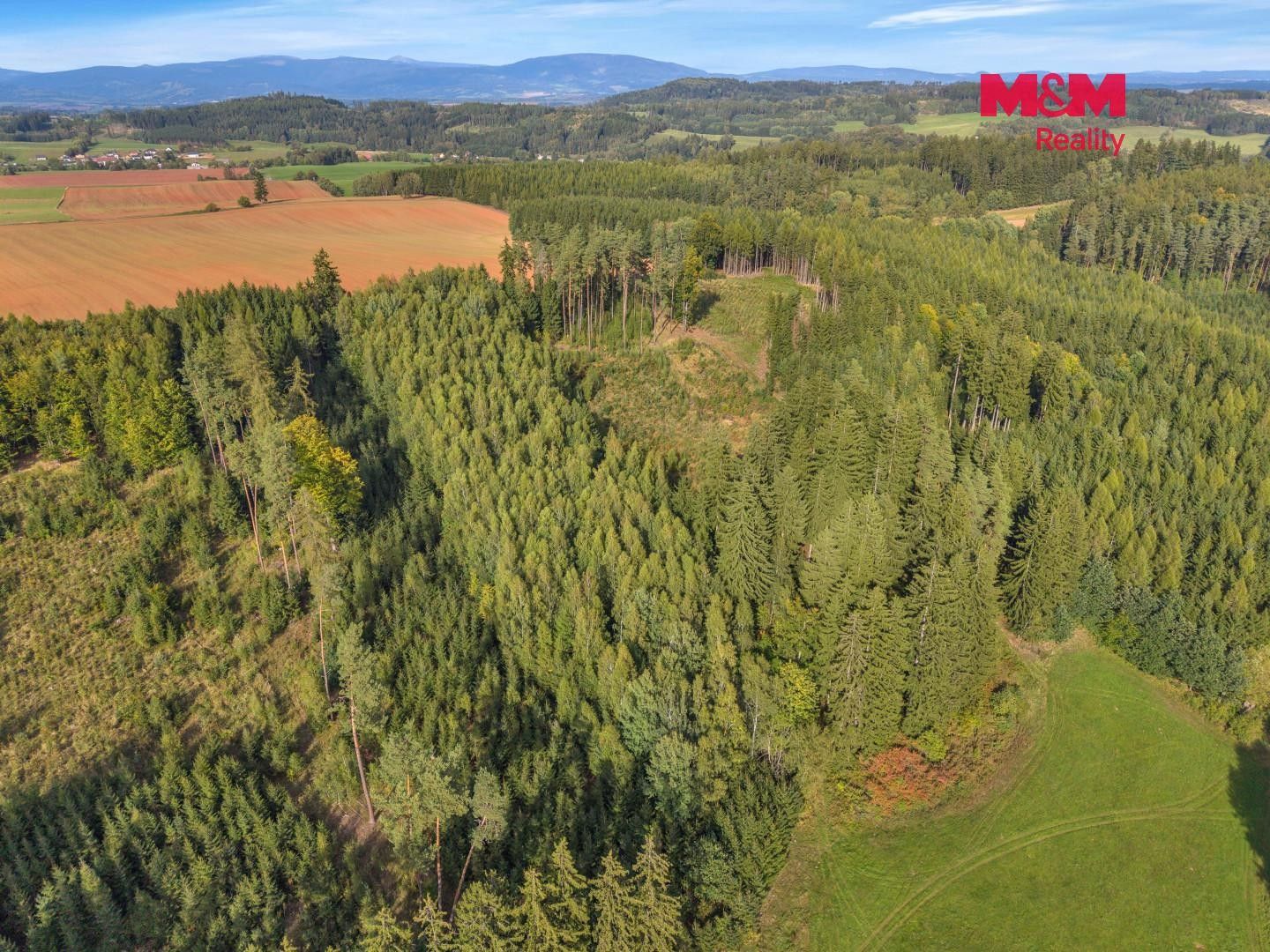 Les · Vidochov - 4