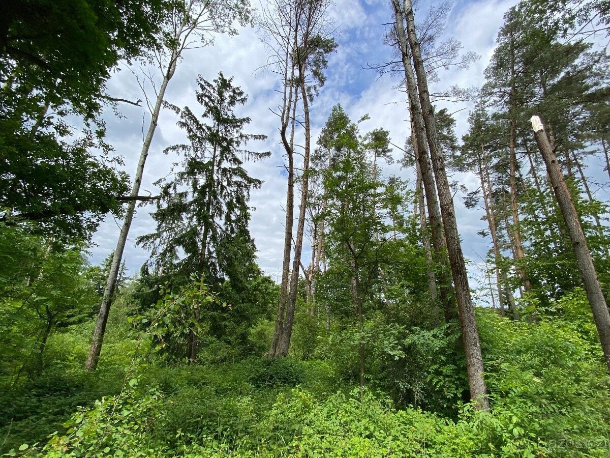 Prodej pozemek pro bydlení - Horšovský Týn, 346 01