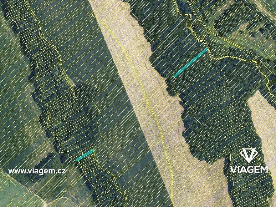 Les · Popovice, okres Uherské Hradiště - 3