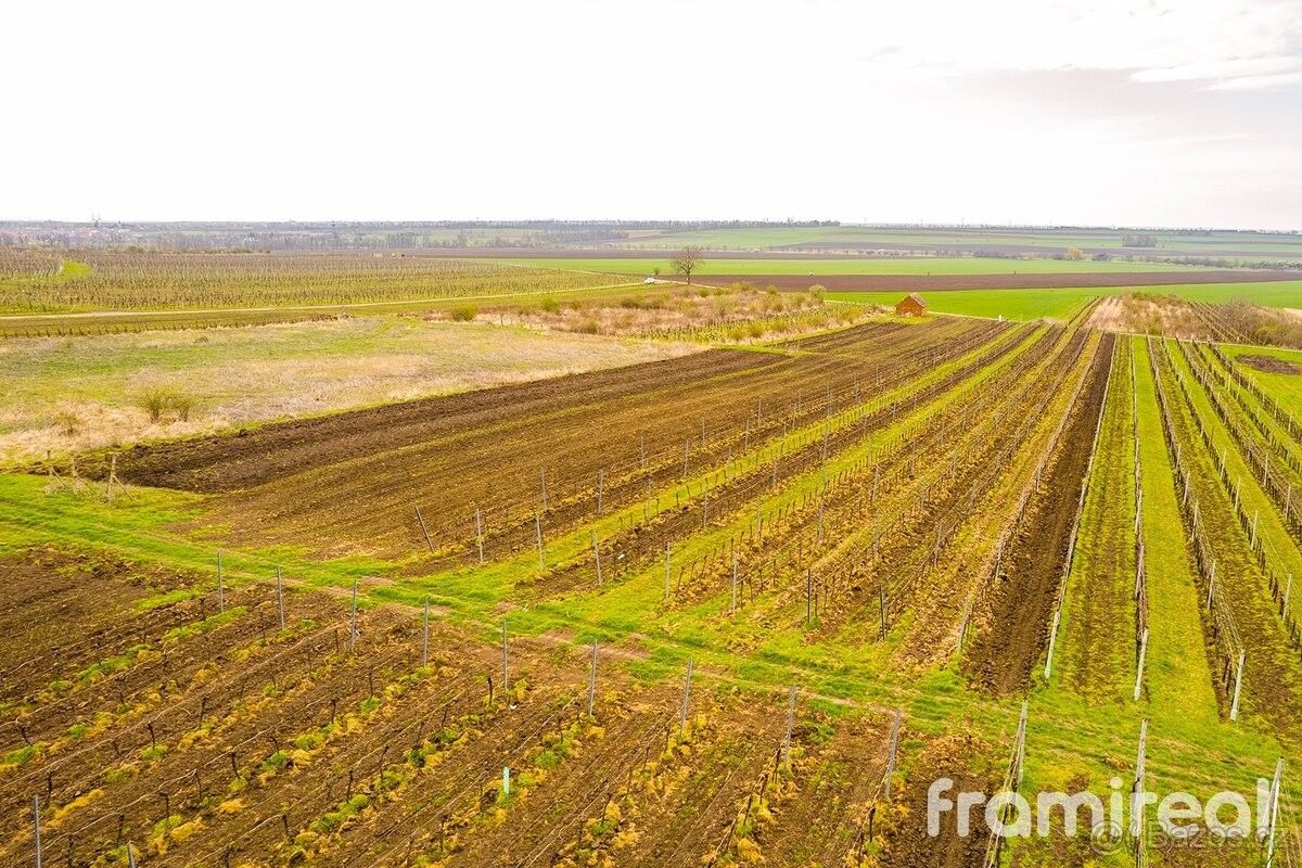 Pozemky pro bydlení, Moravský Žižkov, 691 01