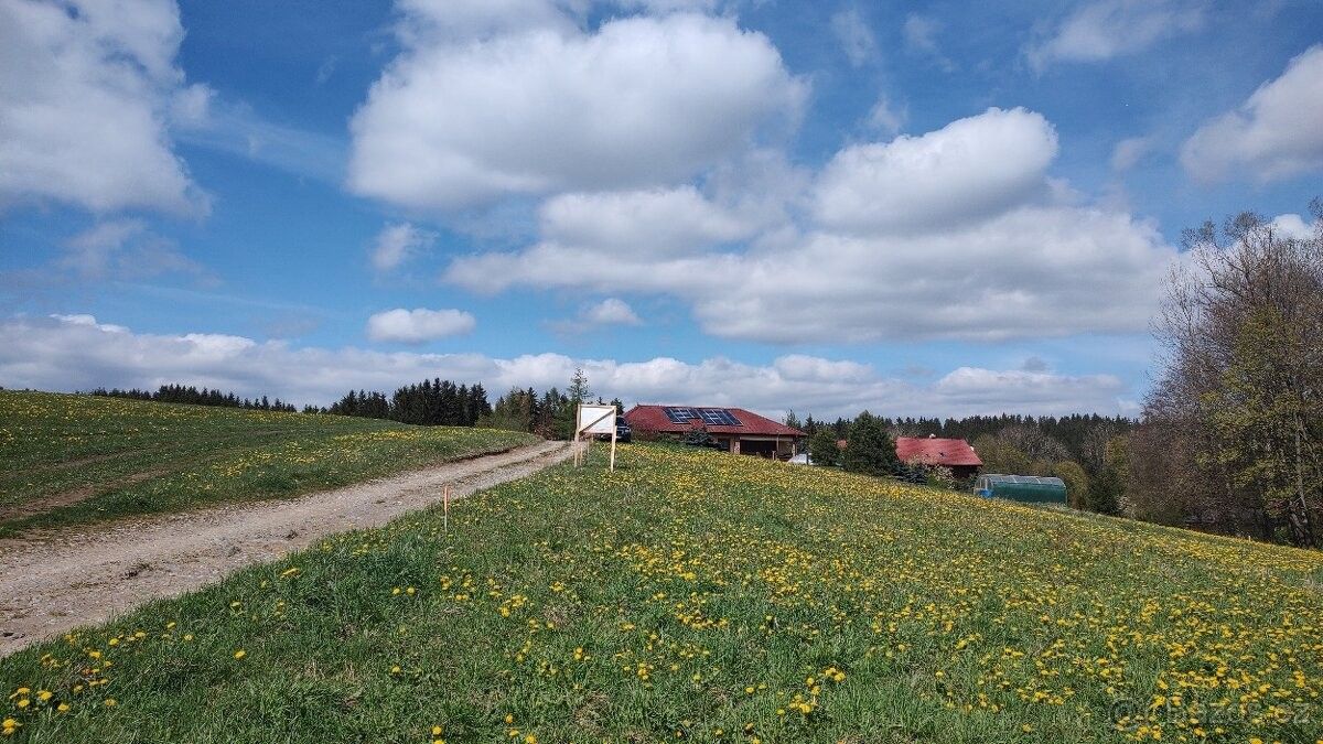 Prodej pozemek pro bydlení - Frymburk, 382 79