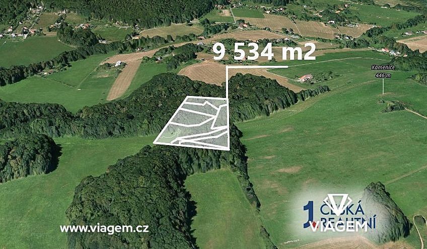 Les · Tichá, okres Nový Jičín, Moravskoslezský kraj - 1