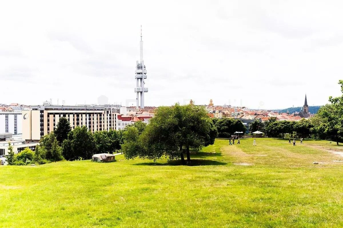 Byt other – Praha, Žižkov – pohled 5