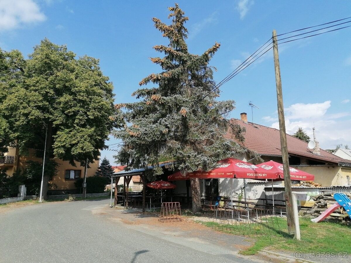 Pronájem restaurace - Libice nad Cidlinou, 289 07