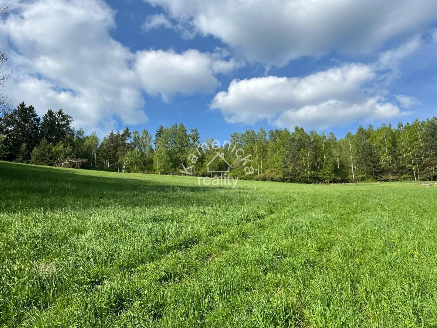 Prodej pozemek pro bydlení - Malšín