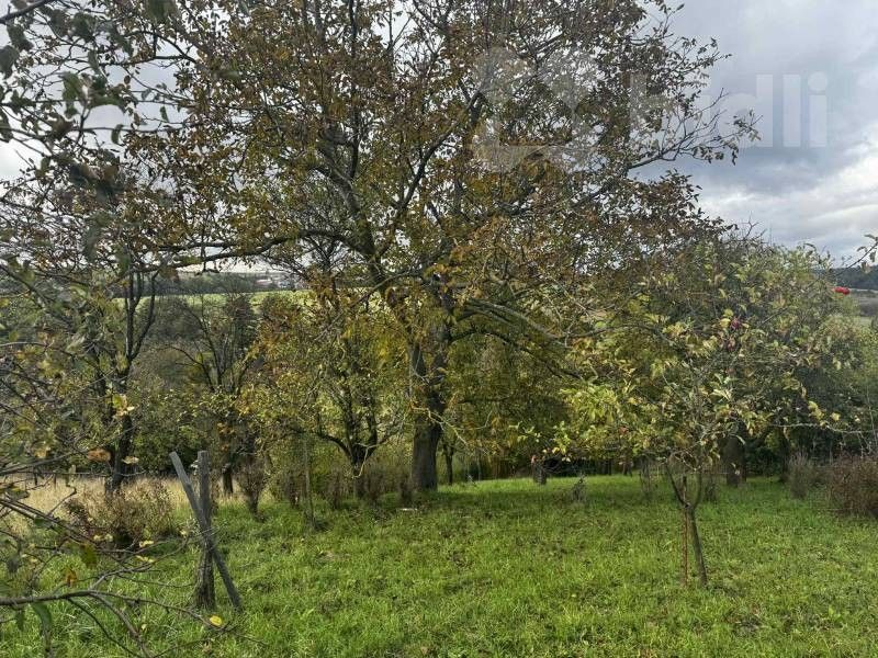 Zahrady, Soběchleby