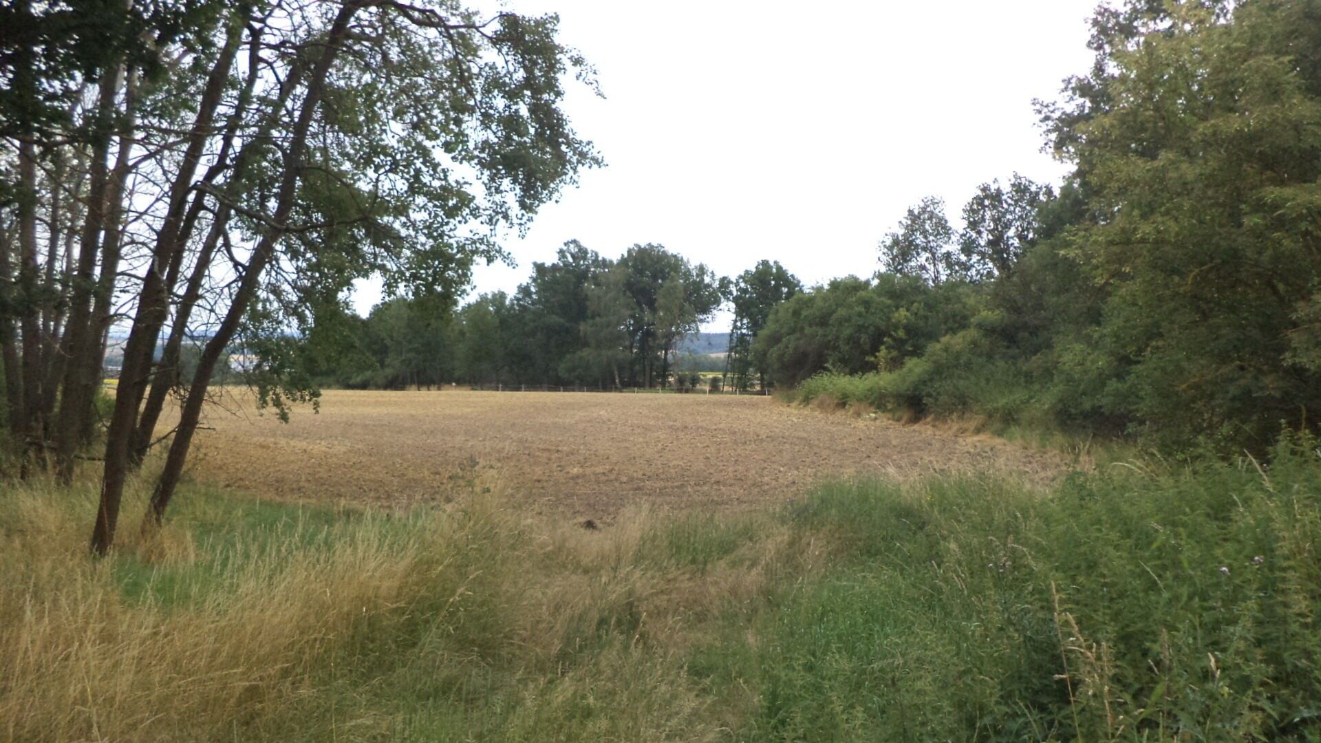 Zahrady, Heřmanova Huť Vlkýš, 1 100 m² - 1