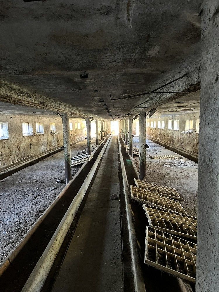 Zemědělský objekt · 4 133 m² · Týček, okres Rokycany, Plzeňský kraj - 3
