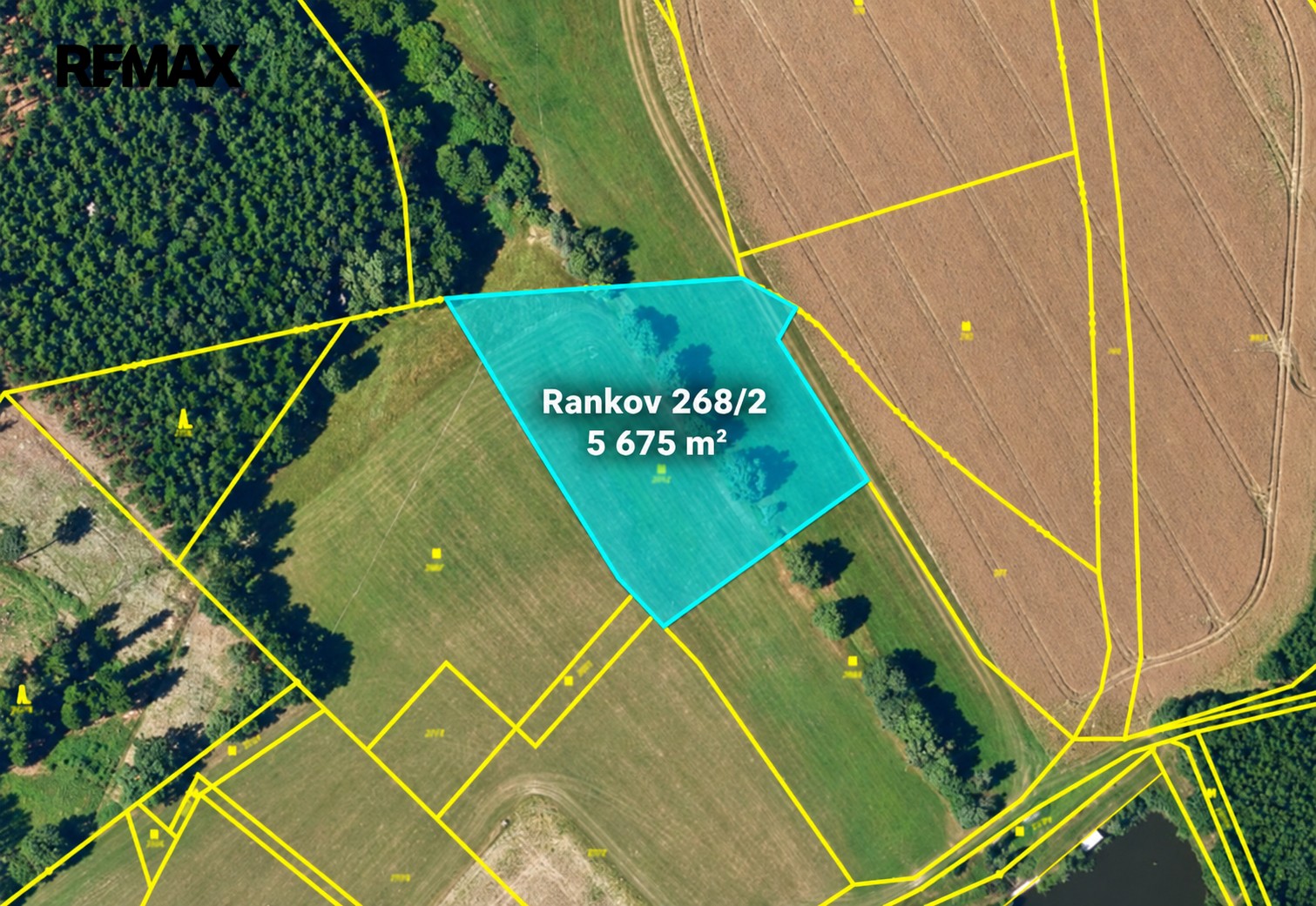 Zemědělský pozemek · 46 277 m² · Chotěboř - 3
