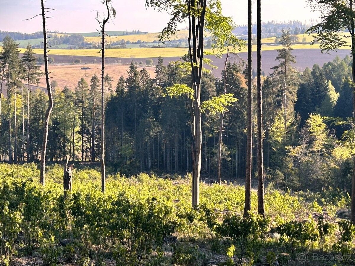 Lesy, Mladá Vožice, 391 43, 52 488 m²