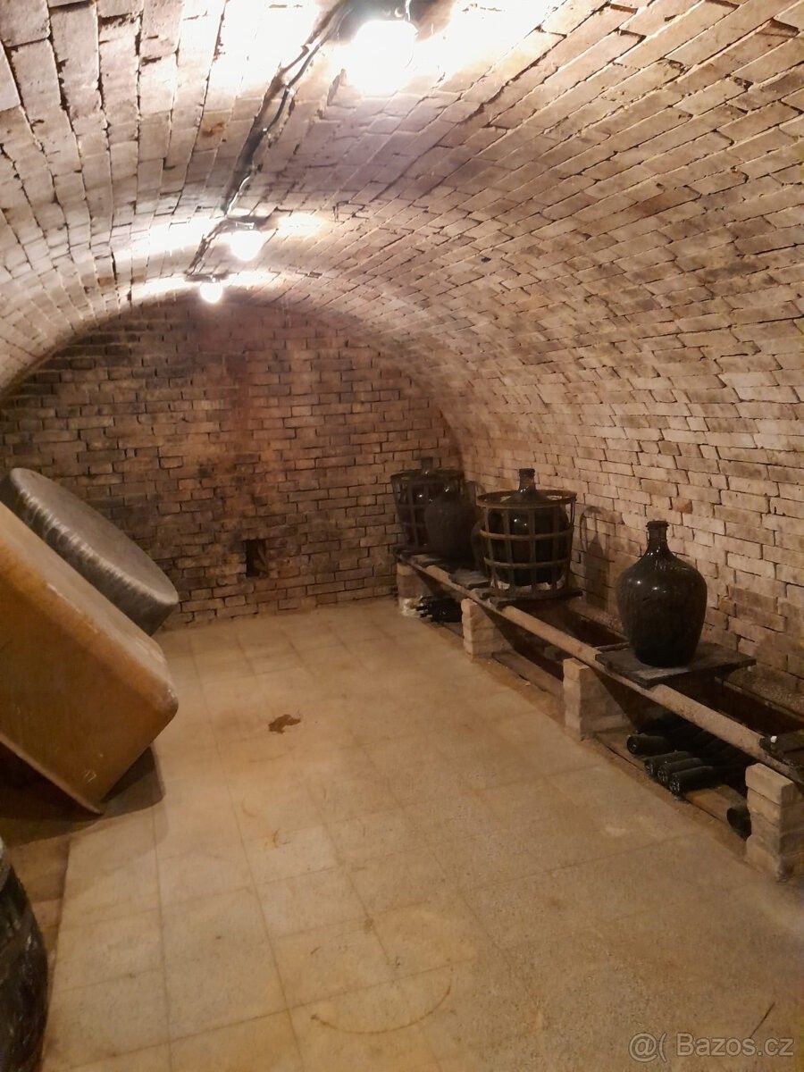 Prodej ostatní - Mikulčice, 696 19