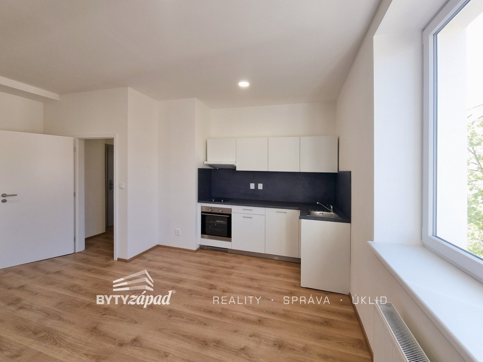 1+kk, Zikmunda Wintra 2463, Plzeň Jižní Předměstí, 31 m² - 2