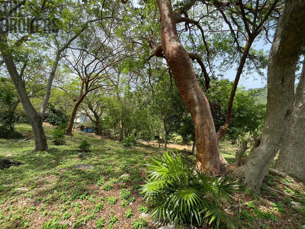 Pozemky pro bydlení, 987 66, Zahraničí