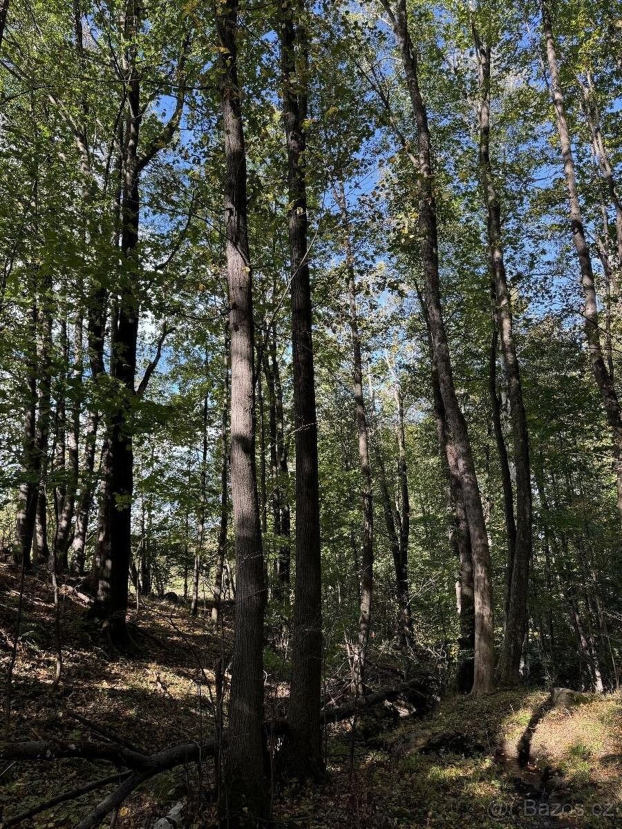 Prodej pozemek pro bydlení - Žulová, 790 65