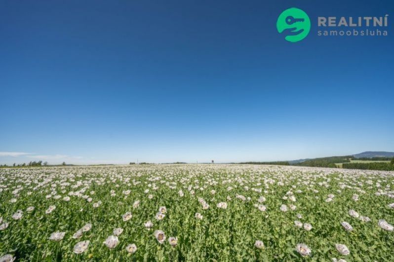 Prodej zemědělský pozemek - Prosečné, 40 000 m² - 5