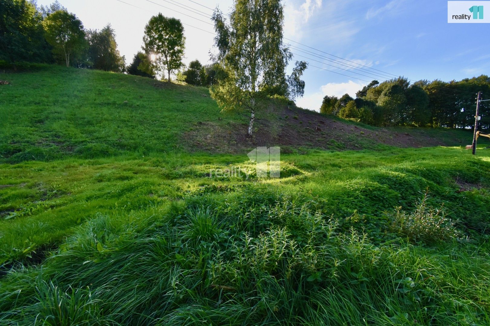 Prodej pozemek pro bydlení - U Lesovny, Police nad Metují, 6 515 m²
