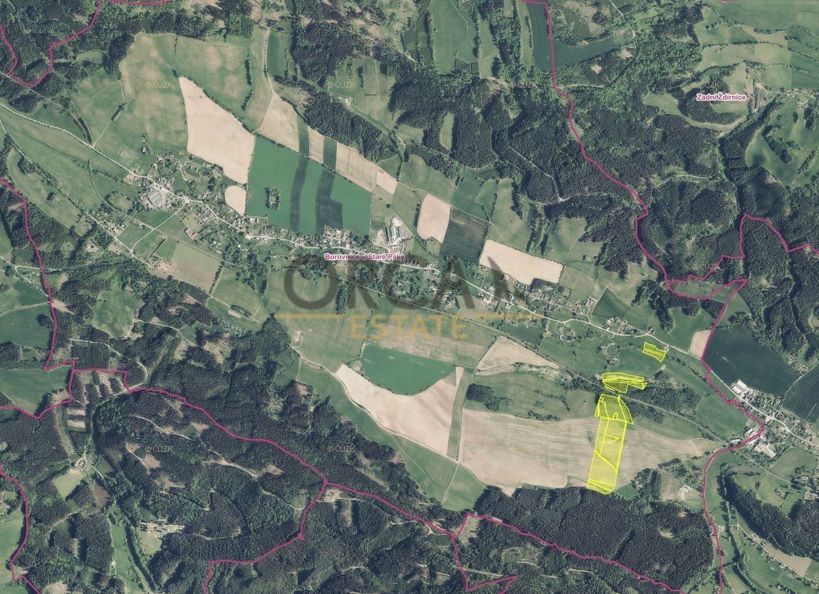 Prodej pozemek - Borovnice, 544 77, 4 304 m²