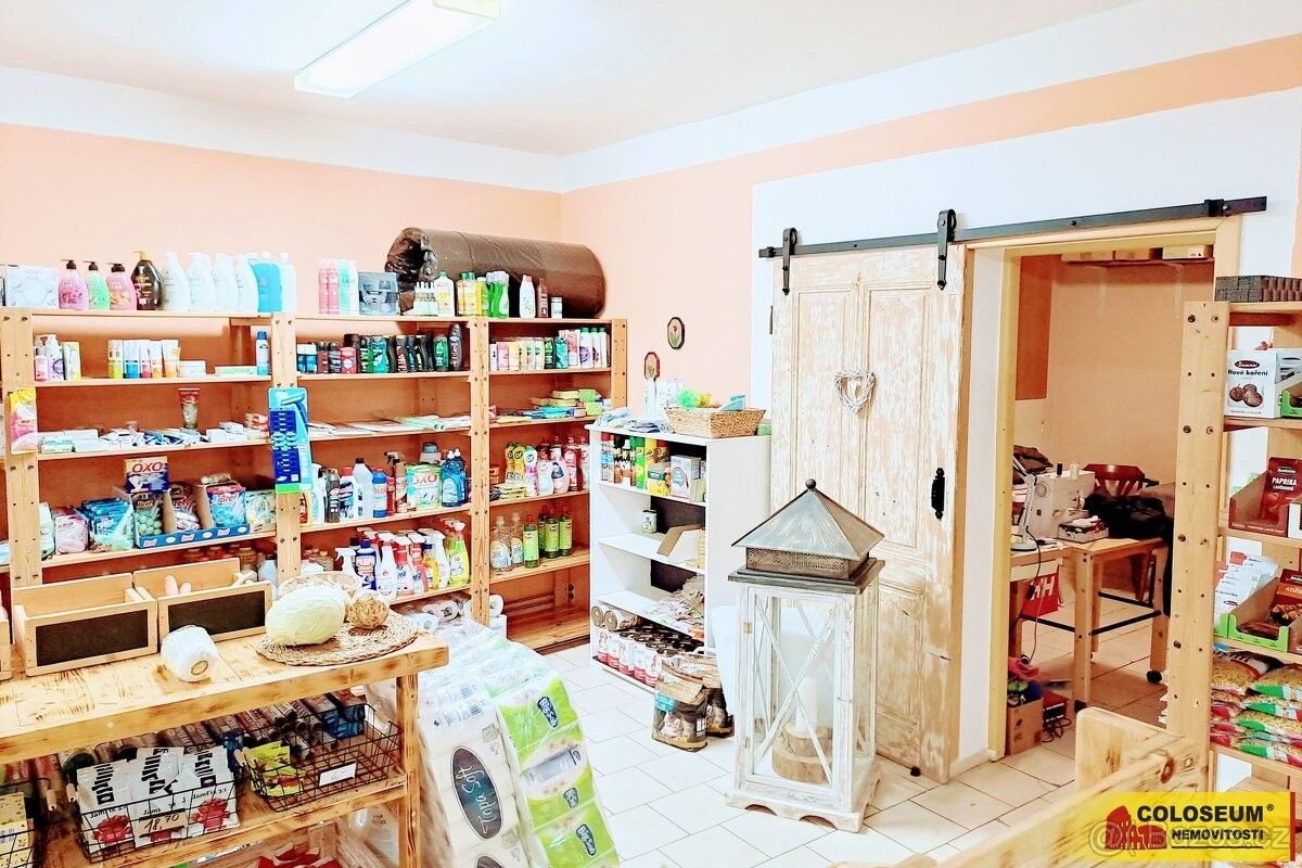Pronájem obchodní prostory - Znojmo, 669 02 - 5