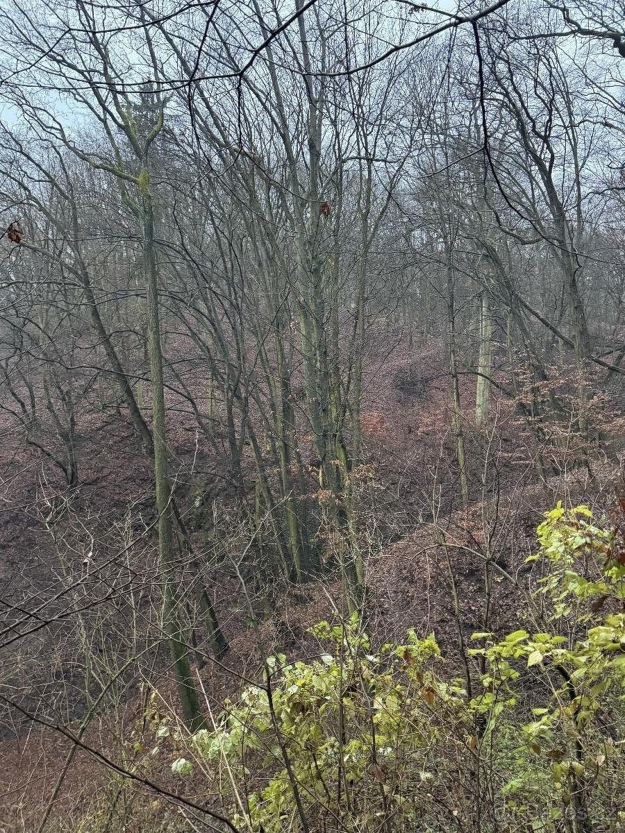 Prodej pozemek pro bydlení - Ústí nad Labem, 403 21