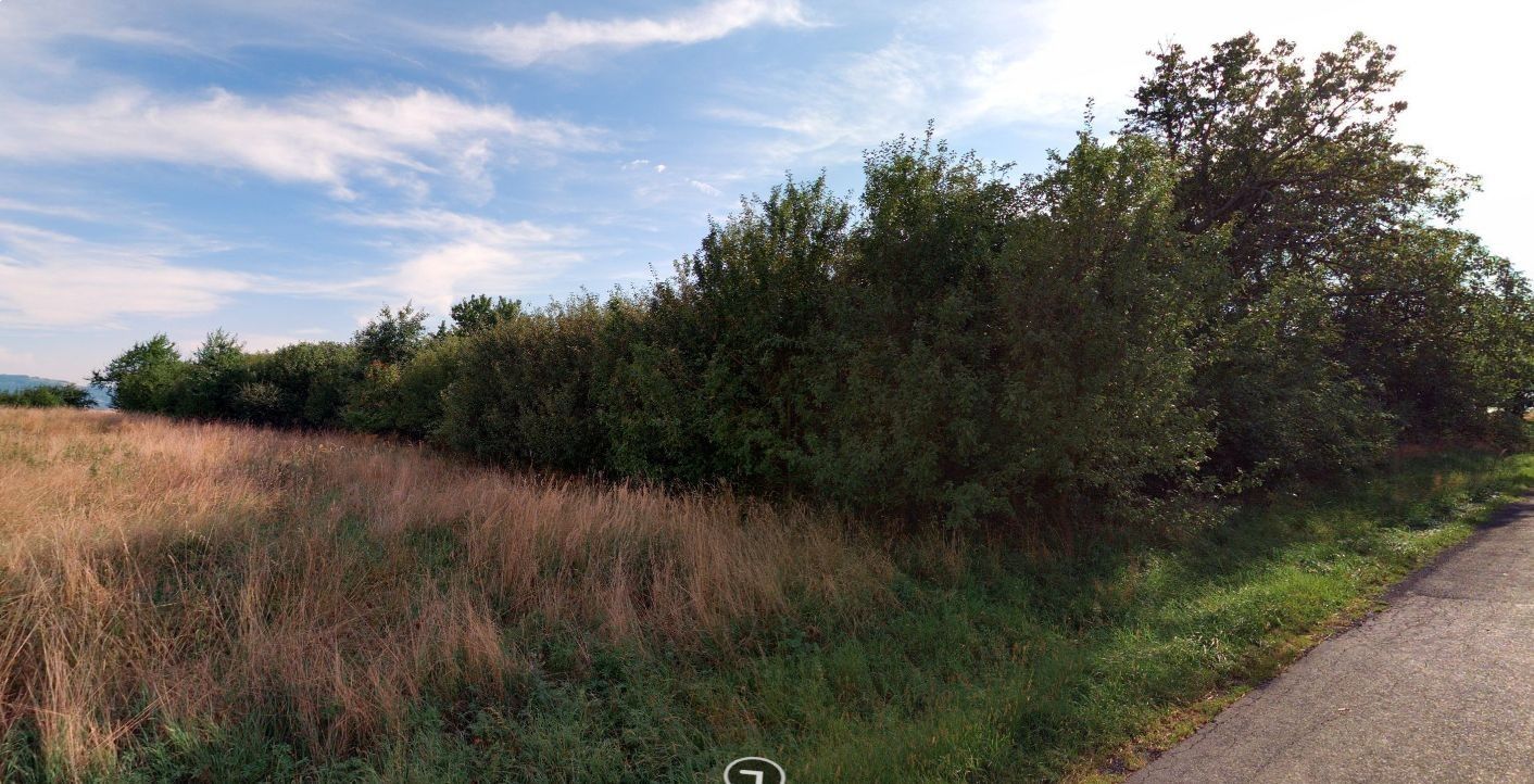 Zahrada · 1 655 m² · Horní Nětčice - 3