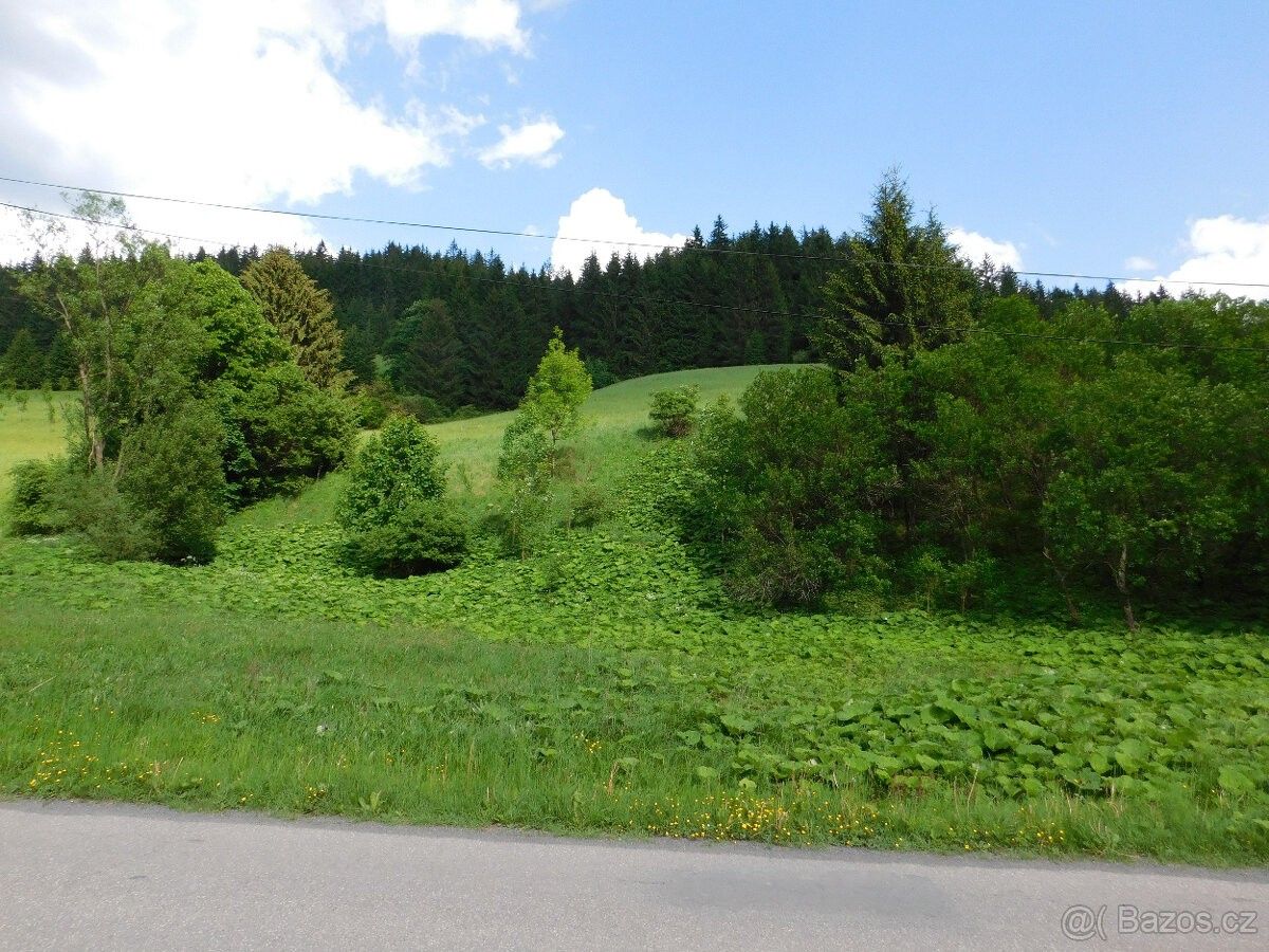 Pozemky pro bydlení, Velké Karlovice, 756 06