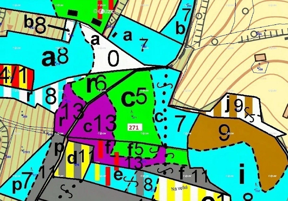 Les · Zálezly, okres Prachatice, Jihočeský kraj - 3