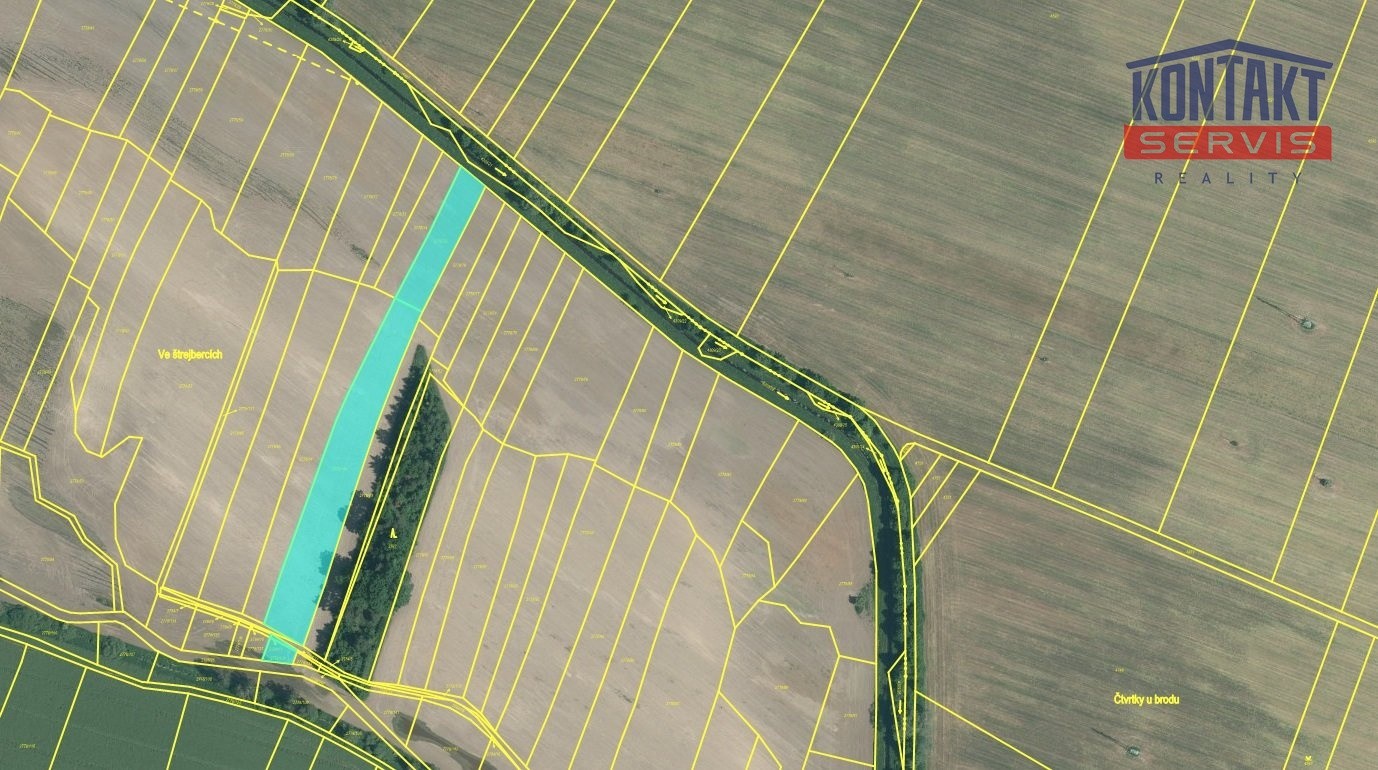 Prodej zemědělský pozemek - Veselí nad Lužnicí - 5