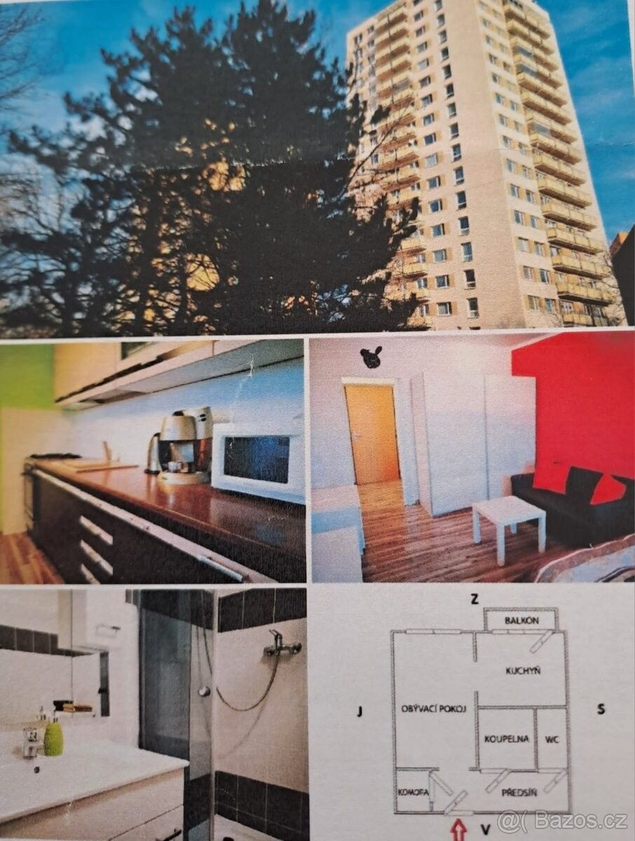 Prodej byt 1+1 - Ostrava, 700 30, 42 m²