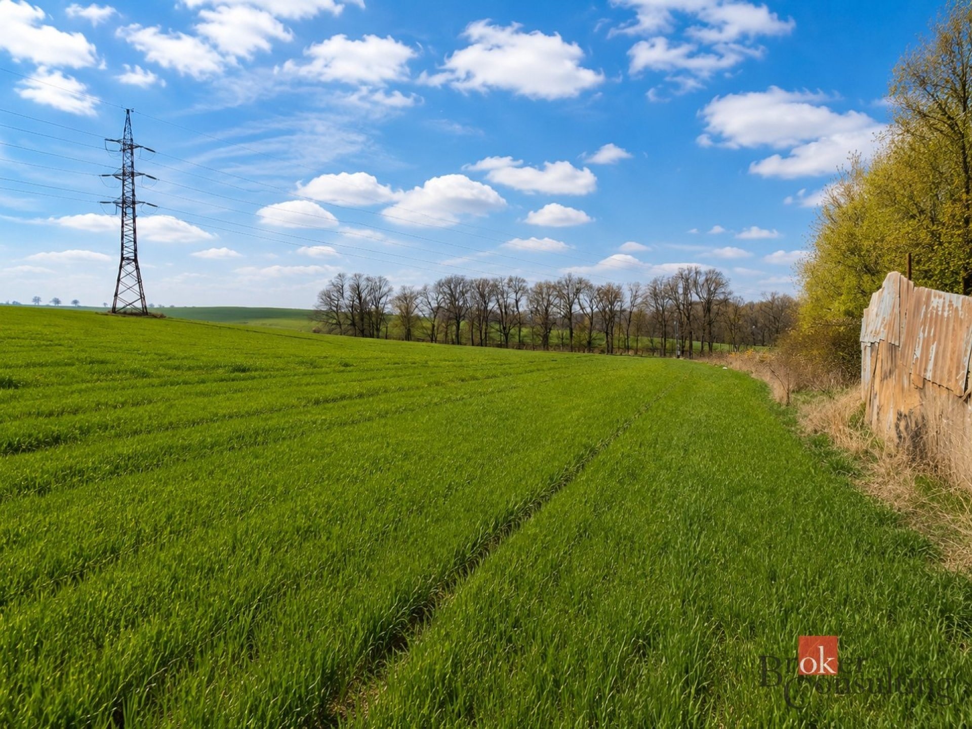 Zemědělský pozemek · 54 936 m² · Říčany - 4