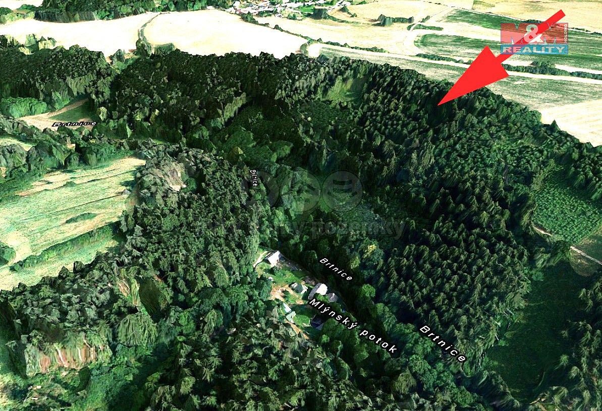 Prodej les - Brtnice, okres Jihlava, Kraj Vysočina - 1