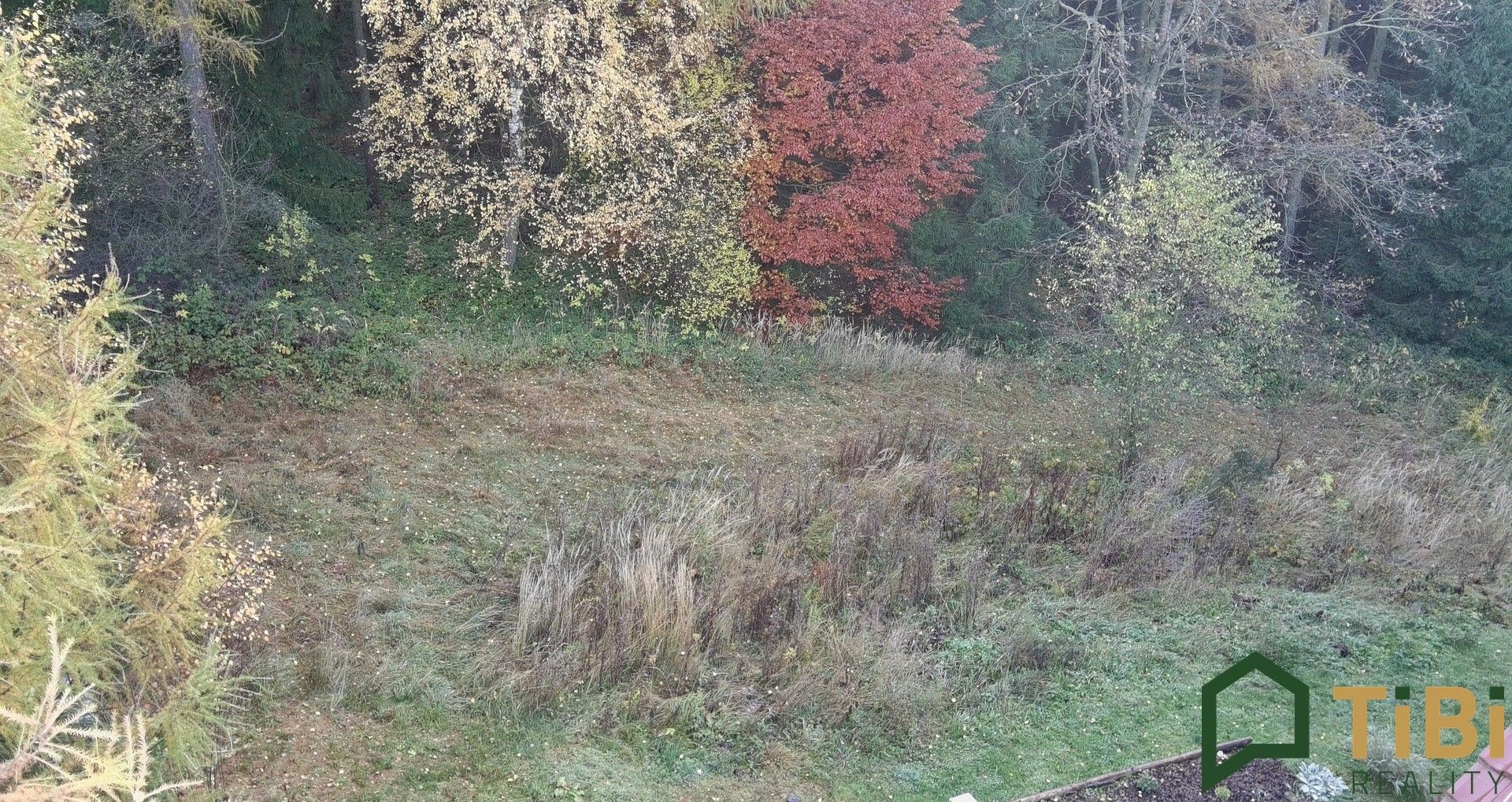 Pozemky pro bydlení, Žipotín, Gruna, 1 753 m²