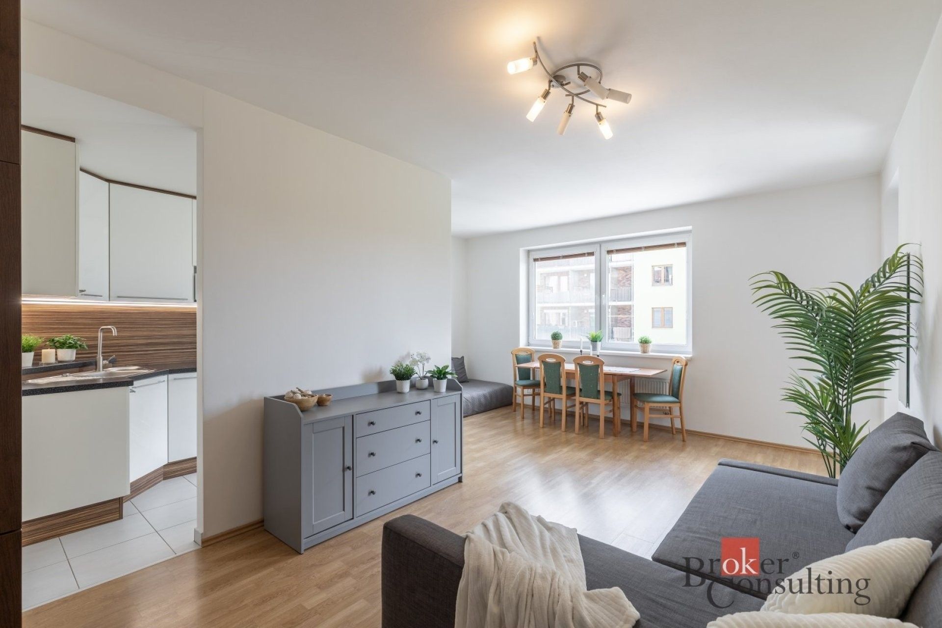 1+kk, U Leskavy, Brno, 48 m² - 1