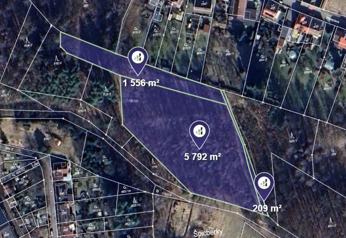 Lesy, Červený Kostelec, 3 779 m²