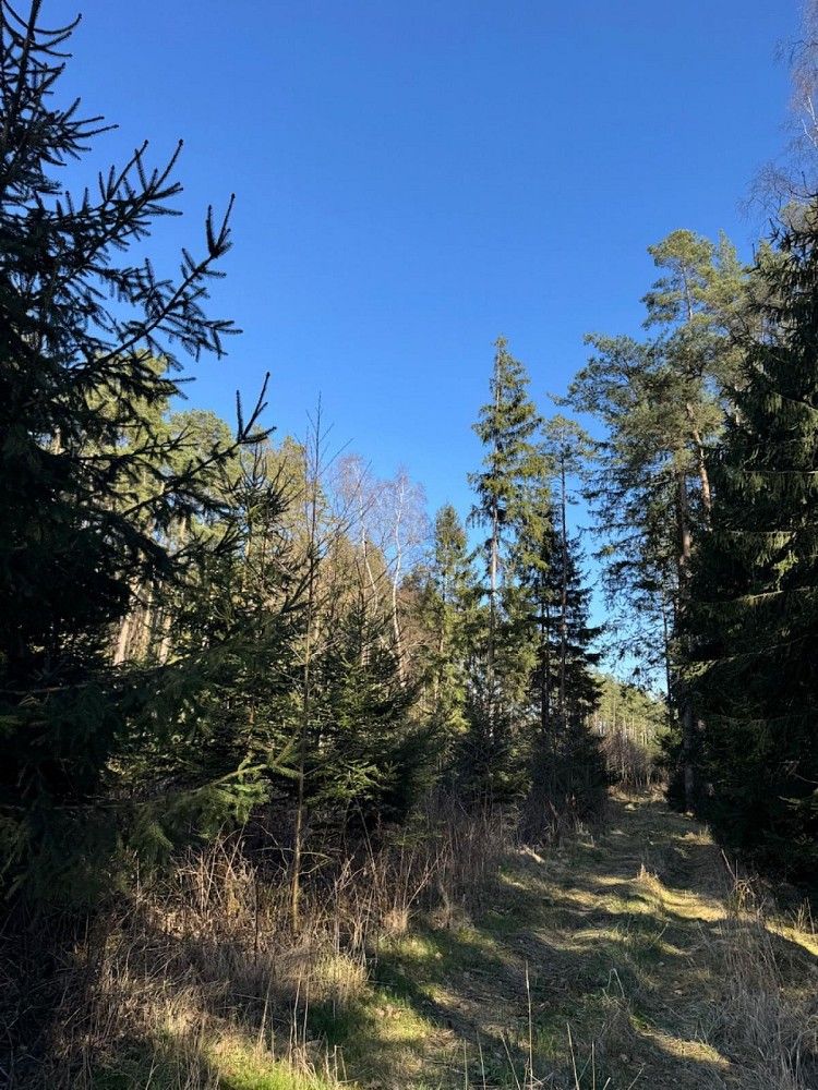 Les, 6 708 m²