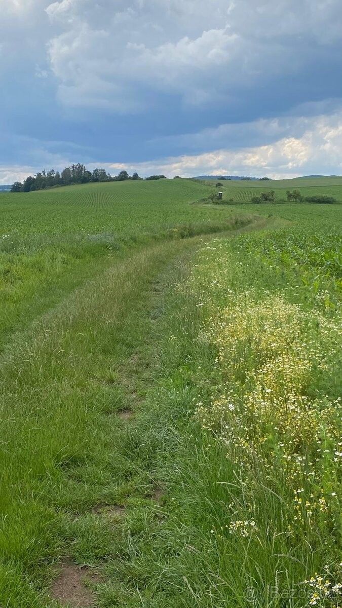 Pozemky pro bydlení, Maršovice, 257 55