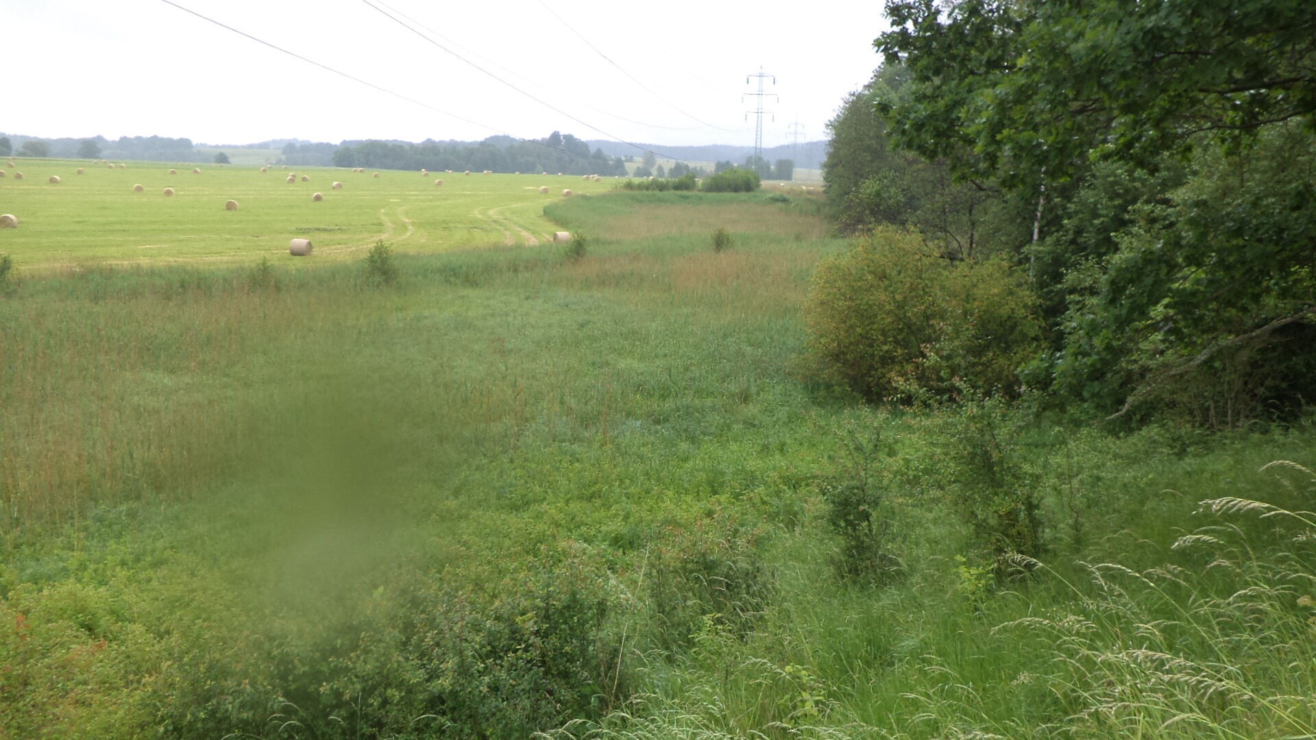 Zemědělský pozemek · 4 685 m² · Jablonné v Podještědí - 3