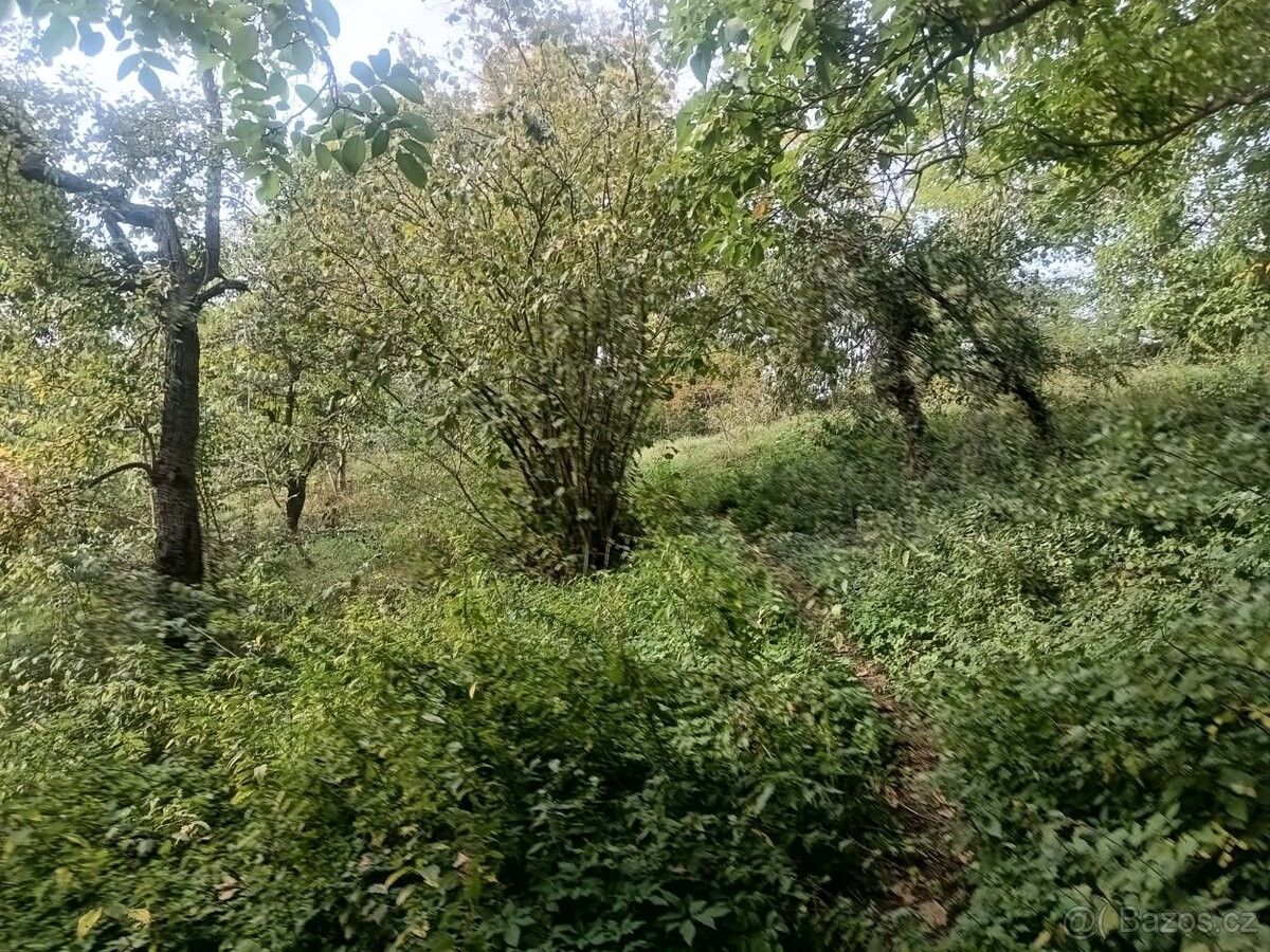 Prodej pozemek pro bydlení - Slaný, 274 01 - 5