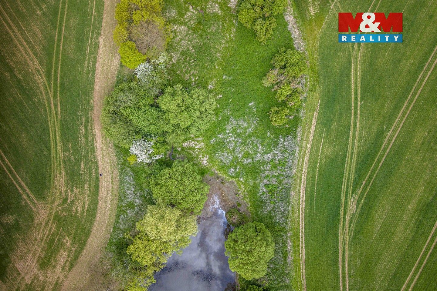 Louky, Vlašim - Domašín, okres Benešov, Středočeský kraj - 2